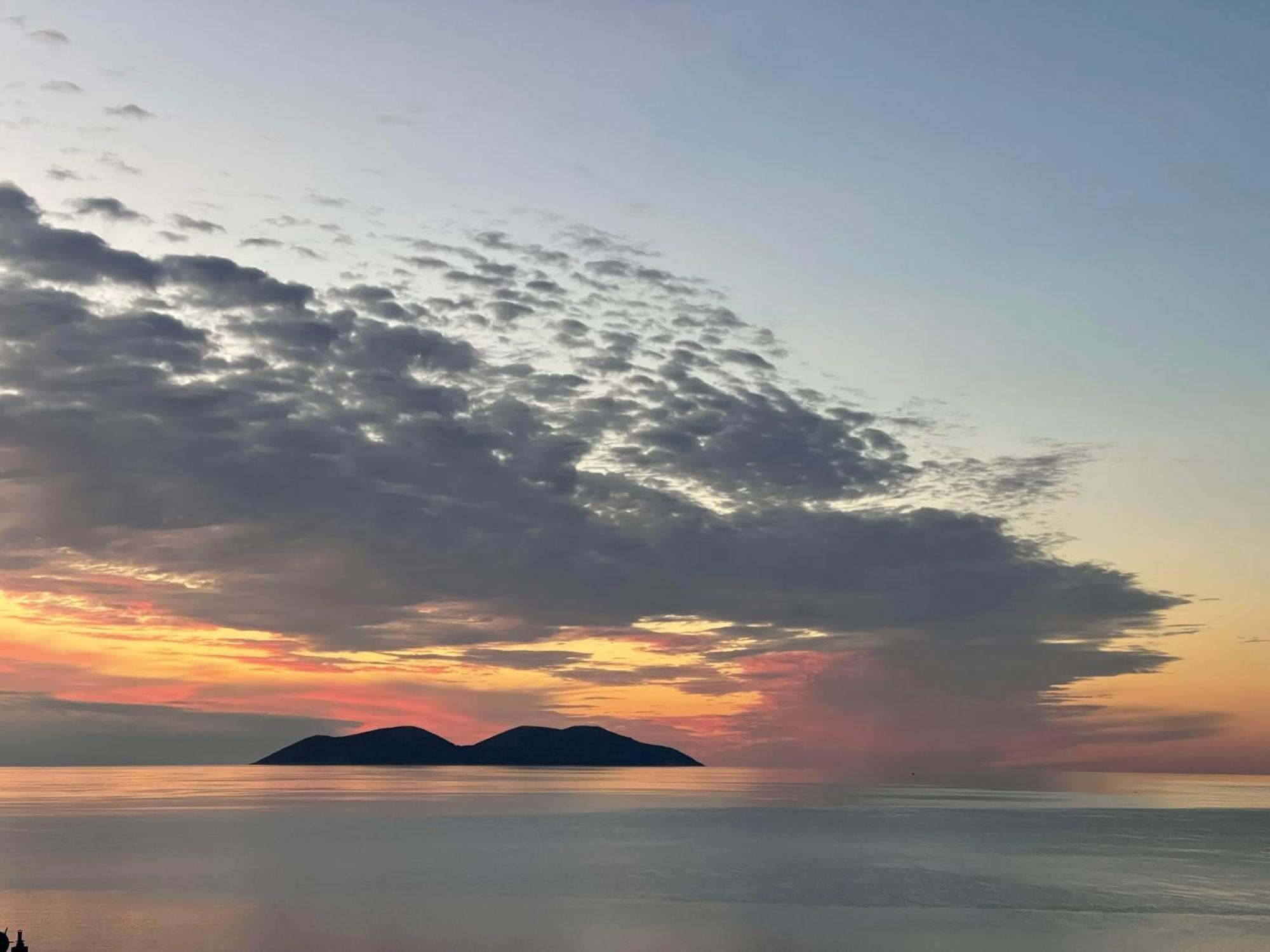 Scandi * Vlorë